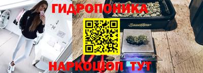 ALPHA PVP Северобайкальск